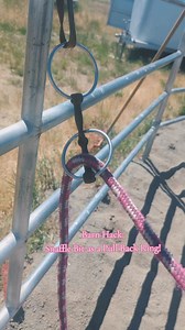 524K views · 1.8K reactions | Literally the best barn hack ever.  Just a good old snaffle, doing good things in life.  #barnhack #hack #horsetraining #horsetrainer #didyouknow #facts #checkitout #socool #hereyougo #coolsetup #fyp #psa #snafflebit #tyinghorses #horsetips #FollowMe #horsemanship #viralreels #yes #barnlife #sogood | Cowgirl Tuff Colt Training | Facebook