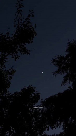 Teri Soorat Na Ho Jismein 🤌🏻🫧🌙 | Repost Request | #fyp #foryoupage #foryou #tiktok #lyrics #clips #trending #viral #abdullah #aesthetic #urdu #unfreezemyaccount #growmyaccount #viewsproblem #song #targetaudience #targetlikes #targetviewers #million