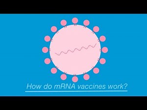 How do the new mRNA vaccines for COVID-19 work?