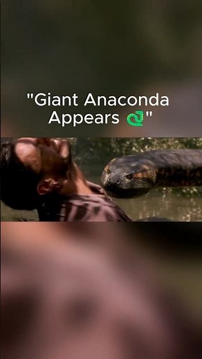 "Giant Anaconda Attack! 🐍😱"