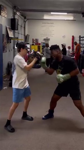 [HEAVY HITTERS] Dainier Pero H6 Boxing Gloves