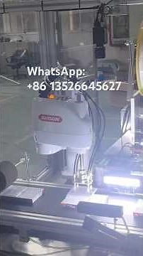 Automatic Robot Labeling Machine For Box Feeding Labeling & Visual Detection & Rejection & Stacking