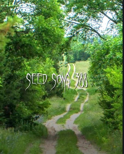 Meme Girl Video with Speedestaudios