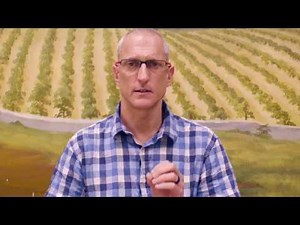 What's The Maximum Dose of Suboxone?