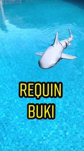 Un requin radiocommandé pour vos amis!