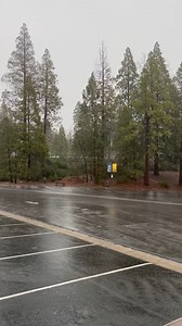 45K views · 1.1K reactions | The rain has been a blessing for our...