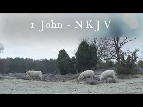 The Book of 1 John - New King James Version (NKJV) - Audio Bible