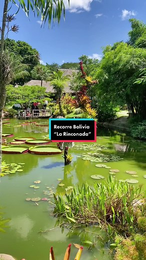 Comora tu ticket de bus para viajar a Santa Cruz. Hoy visitamos @larinconadascz #traveler #trip #boliviatravel #viajaresvivir #mochilero #visitbolivia #santacruzbolivia