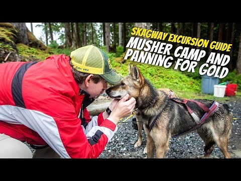 Musher Camp & Panning For Gold Excursion Guide | Skagway, Alaska 4K