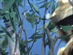 Monkey Magic Ep1