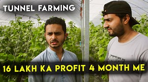 21 reactions · 5 comments | Earn 16 lakh in just one season | Tunnel Farming benefits | Daily vlogs challenge | abdul bari vlogs | Abdul Bari | Facebook