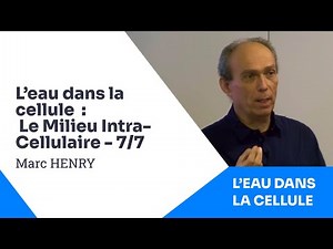 7/7 - Marc HENRY - Water in the Cell - The Intra-Cellular Environment