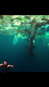 Under Paris #recommended #filmreview #MustWatch #movienight #filmempfehlung #movietime | Movies Recommended