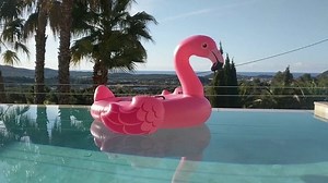 Inflatable flamingo - Free Stock Video Footage | Coverr