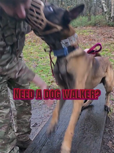 Funny Dog Training Moments That Will Make You Laugh