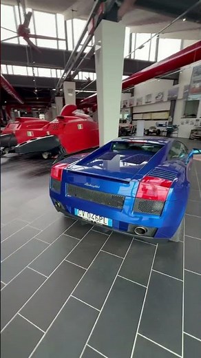 Lamborghini Gallardo a great daily driver #lamborghini #car