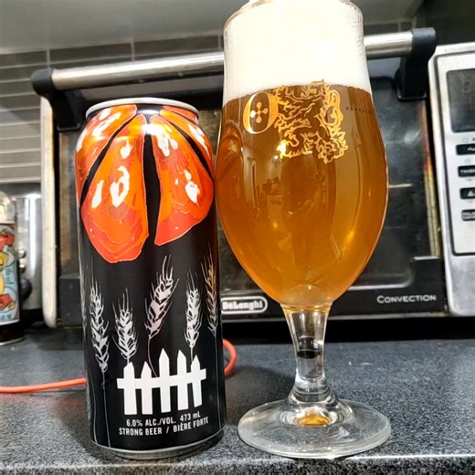 8.5 OUT OF 10 GRAPEFRUIT WHEAT BEER 🍺 BEYOND THE PALE BREWERY OTTAWA ONTARIO CANADA 🇨🇦