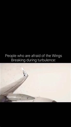 explain everything on Instagram: "You're referring to aviophobia or aerophobia, specifically the fear of wings breaking during turbulence. This fear is common, and recent incidents have exacerbated concerns about air travel safety. According to Federal Aviation Administration data, turbulence caused 40 passenger and 166 crew member serious injuries between 2009 and 2023. However, it's worth noting that wing failure during turbulence is extremely rare. & Marilyn Smith, an aeronautics engineer, ex