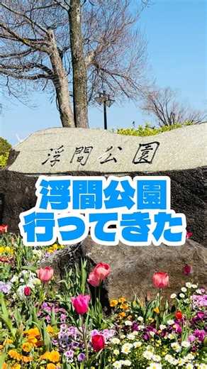 【東京都】 浮間公園に行ってきた お花見 #花見 #公園 #park
