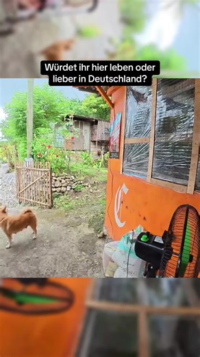 Viele Menschen träumen vom Leben auf den Philippinen. Aber der Alltag hier ist ganz anders als viele denken. Manche lieben es, andere könnten sich das nicht vorstellen. Wie seht ihr das? #philippines🇵🇭tiktok #fyp #realität #deutschland