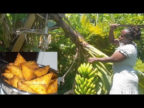 FARM TO TABLE // Cooking Simple Homemade Beef Samosa From Scratch // Life in the Countryside