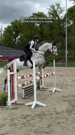 #erinnerung heute vor einem Jahr 🩷 #blue #springpferd #springreiten #showjumper