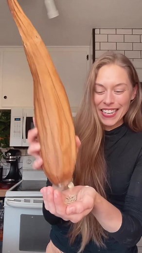 Luffa Harvest: Exploring Color Variations in Drying Process