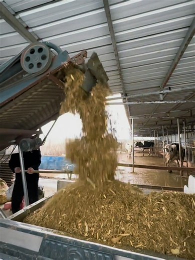 Rubber Conveyor Belt Manufacturer: Applications & Equipment Guide