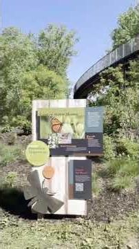 MN Zoo hosts pollinator event
