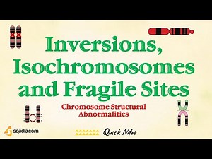 Chromosome Structural Abnormalities | Inversions, Isochromosomes and Fragile Sites | Genetics
