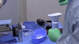 1.5 Stage Revision with Prosthetic Articulating Spacer for the Definitive Management of Knee Periprosthetic Joint Infection: Surgical Technique