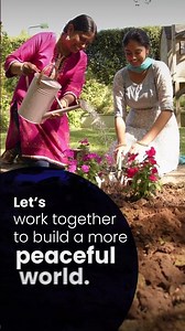 International Day of Peace 2026: Building a Peaceful Future 🌏