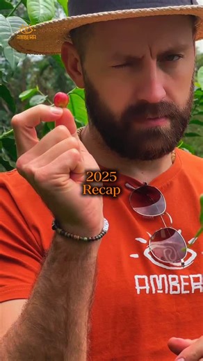 Ambera Coffee on Instagram: "🧡Ending the year the AMBERA way🧡 Grateful for every cup shared, every conversation, and every moment that turned coffee into connection. Thank you for being part of our journey this year. Here’s to new mornings, richer flavors, and many more memories brewed together in the year ahead. Cheers to what’s coming 🧡☕️🌏 #colombiancoffee #specialtycoffee #coffeeproducer #colombia #specialtycoffeeroasters"