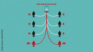 Blood group compatibility chart. Blood group compatibility table. Blood group table. Blood groups for donation.human blood types rendering. blood donation with all possible blood group combinations.