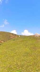 Beautiful Scenery view❤🌲🌲 | Nature Beauties