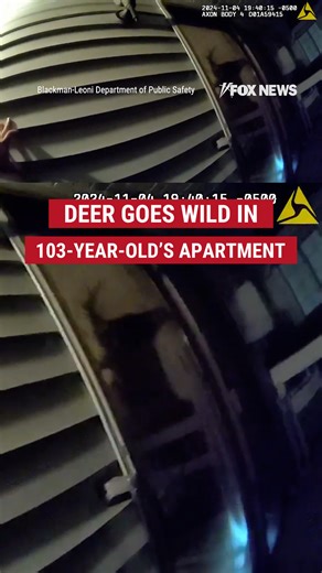 129K views · 712 reactions | OH DEER! A 103-year-old was injured when a deer broke into her apartment through her bedroom window. Officers had to smash her glass door so the wild animal could escape. https://www.foxnews.com/us/deer-caught-camera-thrashing-around-103-year-old-womans-apartment-escaping-through-glass-door | Fox News | Facebook