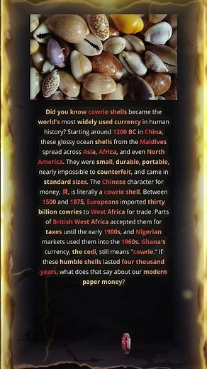 Cowrie Shells Were Currency For 4000 Years Worldwide