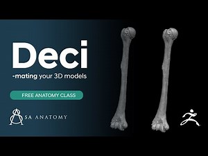 How We Use The Decimation Master In ZBrush (Quick Tip 2)