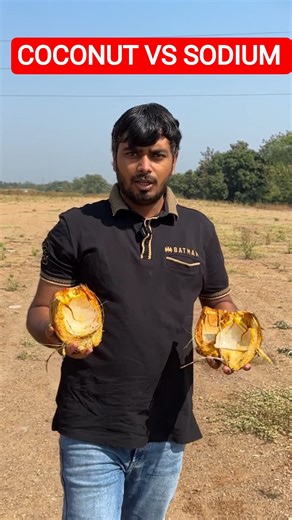 Jab Sodium Mila Naarial Paani Se… Kya Hua? 😱