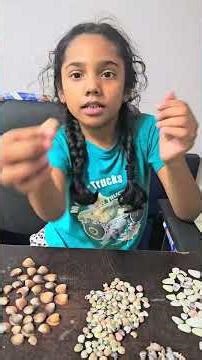 Clarissa’s Beautiful Beach Shell Collection