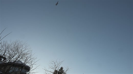 8.1K views · 21 reactions | Members of the Royal Canadian Navy watch as two CF-18 Hornets fly over Whistler Village as part of the welcome ceremony for Invictus Games 2025 on 10 February, 2025 in Whistler, British Columbia. Credit: Master Corporal William Gosse, MARPAC Imaging. | Canadian Joint Operations Command | Facebook