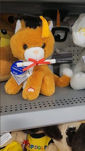 2024 Walmart Canada Animated Spinning Graduation Cat