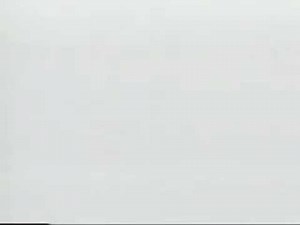 Baby Einstein Language Nursery Edute 1999 VHS