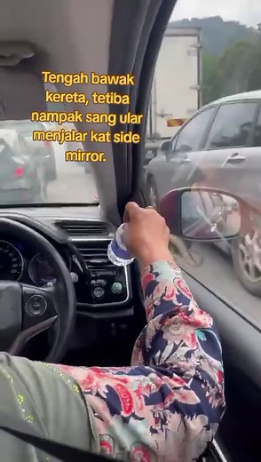 Sang Ular Menjalar di Side Mirror Kereta