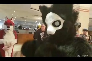 First guy to follow today was a #purochanged fan so like fine, have a 😋 from the puro fursuit I made #mlem #blep #furry #fursuit #puro #changedpuro