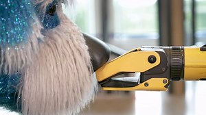 883K views · 10K reactions | Meet Sparkles, a costume for Boston Dynamics robotic dog Spot. #sparkles #bostondynamics #robot #robotics #robots #technology #robottechnology #robottech #technews #robotnews #technologynews | Shacknews | Facebook