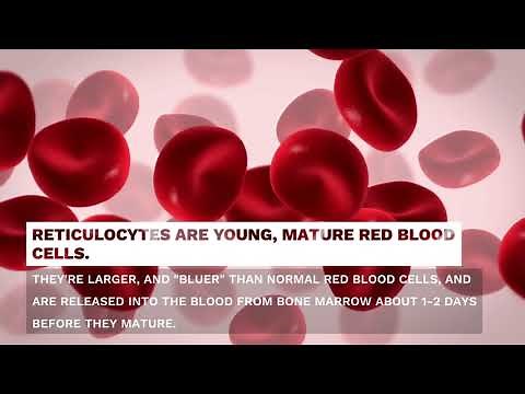 What are Reticulocytes