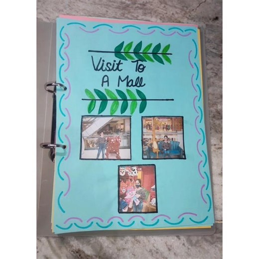 business project (class 11th) || visit to a mall ||