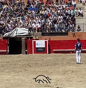 LUCAS 🆚 EMILIA DE EULOGIO 📍Concurso Juego de Tronos II, Pascua Taurins Onda 2024. | Territorio Bravo