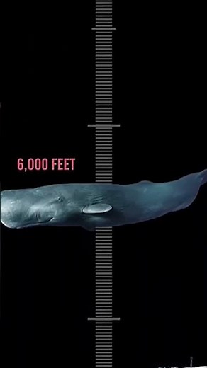 How deep is the ocean… really